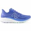 * New Balance Kid'S Fresh Foam X 860 V13 (B Bright Lapis/Bright Mint) Footwear