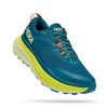 * Hoka Men'S Stinson Atr 6 (Bcbt Blue Coral/Butterfly) Footwear