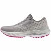 * Mizuno Women'S Wave Inspire 19 Ssw (9I00 Shade/White) Footwear