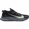 * Nike Men'S Pegasus Trail 2 (002 Black/Dark Smoke Grey/Particle Grey/Spruce Aura) Footwear